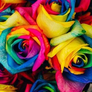 Meet your Posher, Becky